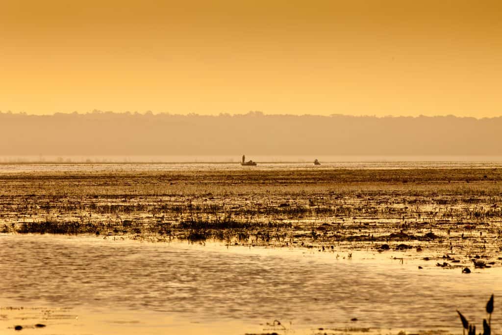 Tower Road Landing Tallahassee Times